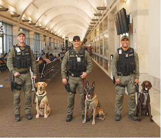 Explosive detection team
