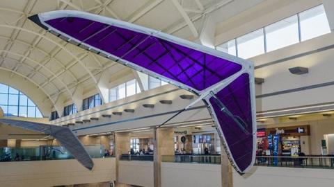 T3 hang glider on display