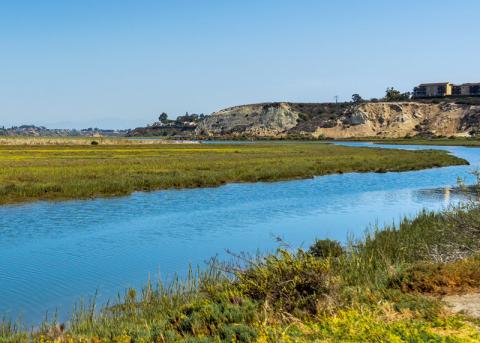 Newport Back Bay