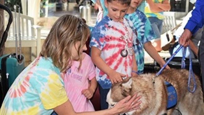 Kids petting Dog