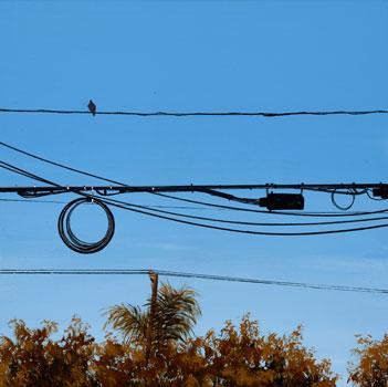 Electrical wires in sky 