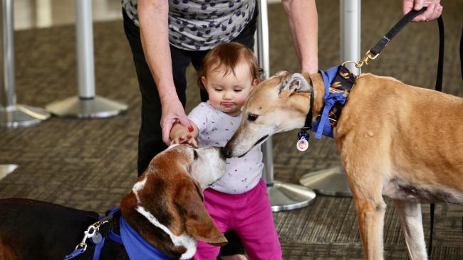 Baby with AirPAWS dog