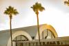 Palm trees at John Wayne Airport at sunset